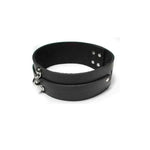 CB - X - Kinklab Bondage Basics Leather Collar