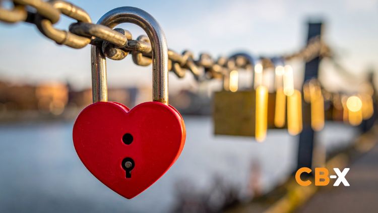 What Every Beginner Needs To Know - CB-X