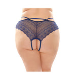 CB - X - Fantasy Lingerie Posey Lace/Microfiber Crotchless Panty - Pack of 6