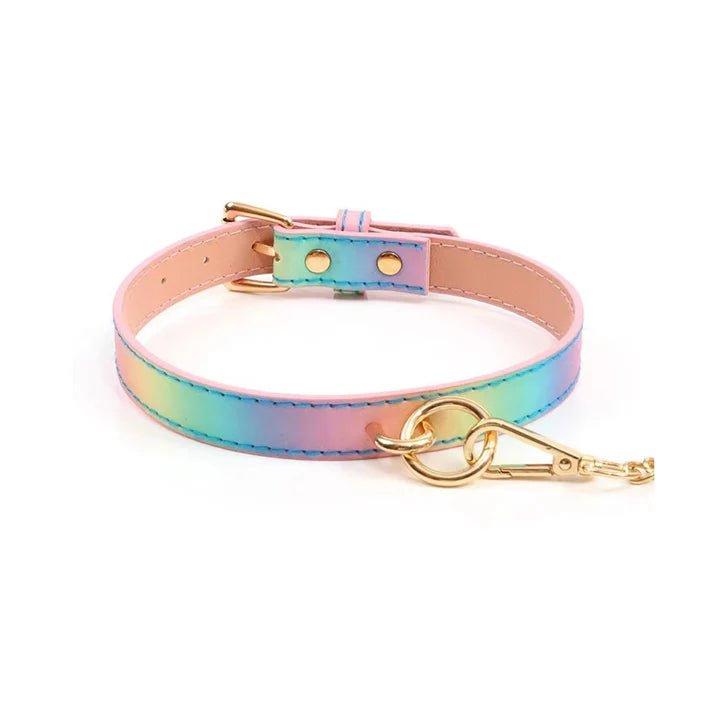 Hello Sexy! Hot Bitch Rainbow Iridescent BDSM Collar and Leash