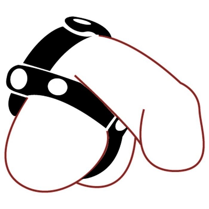 CB - X - Spartacus T - Style Adjustable Black Leather Cock and Ball Splitter
