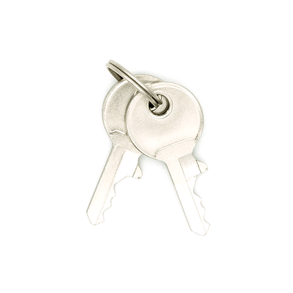 set of two small silver keys on key ring