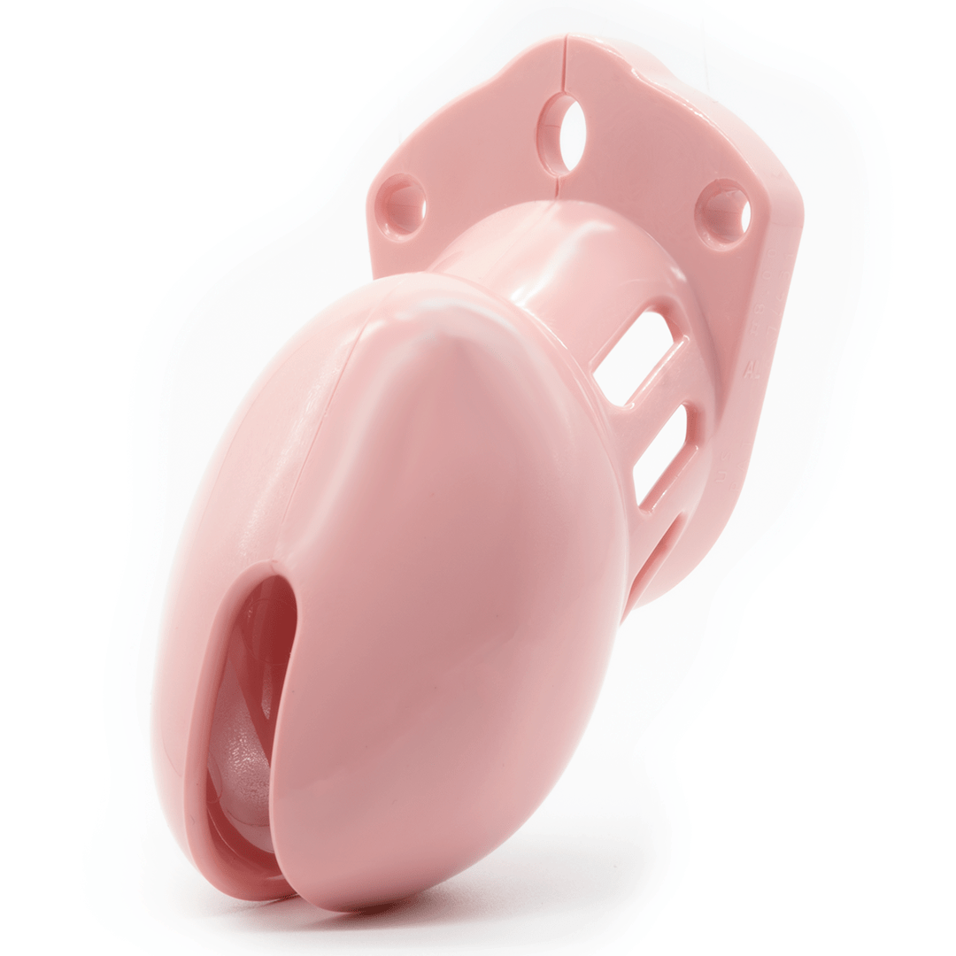 CB - X - CB - 6000S Chastity Cock Cage