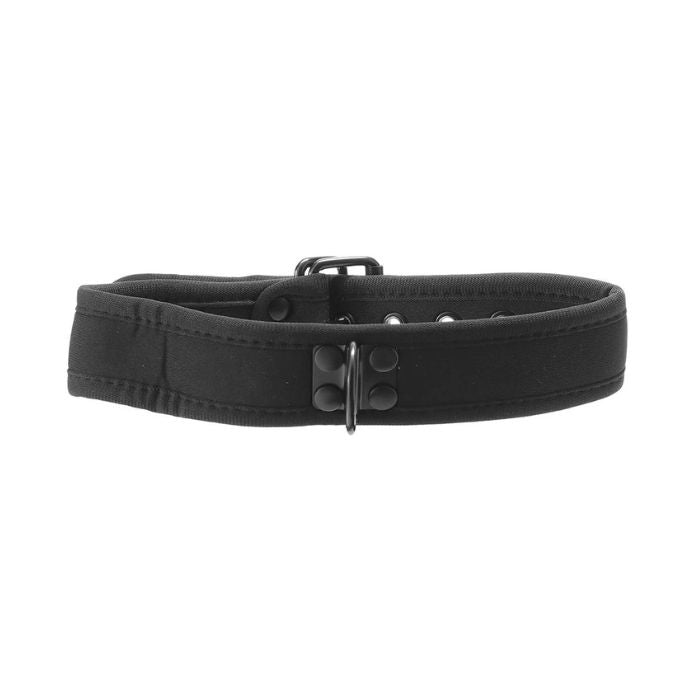 black neoprene collar with d-ring for leash to attach and metal belt style closure