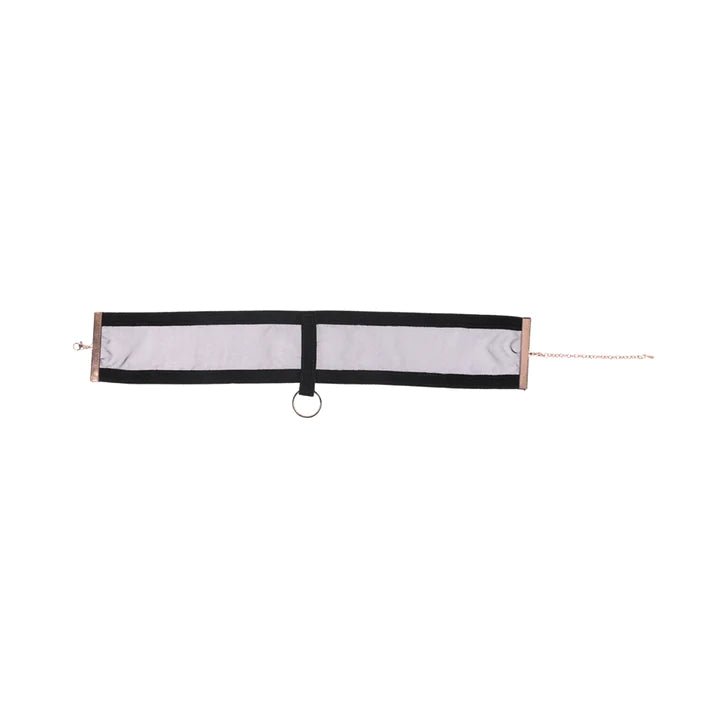 CB - X - Sportsheets Sex & Mischief Sheer Black Choker - Style BDSM Collar